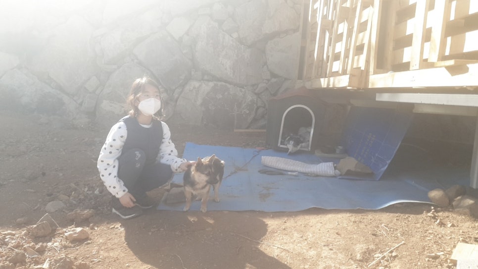 알프스커피숍 이미지