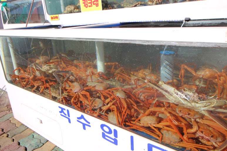 선미수산식당 이미지