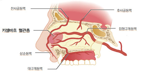 (주)코피코 이미지
