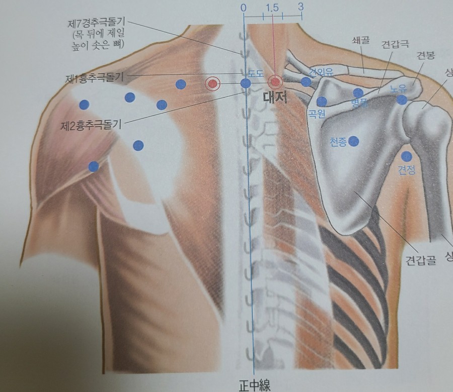 알포유 이미지