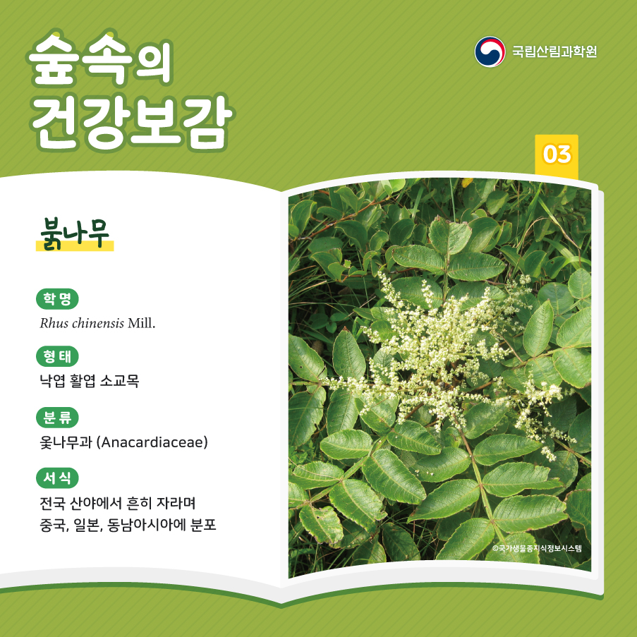 건강보감 이미지