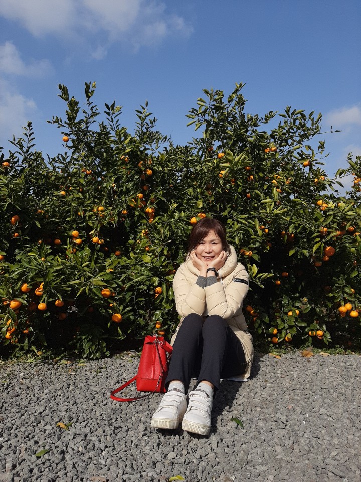 덴드리 이미지