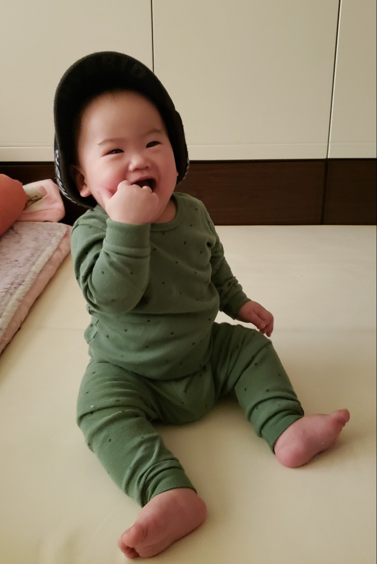 로율 이미지