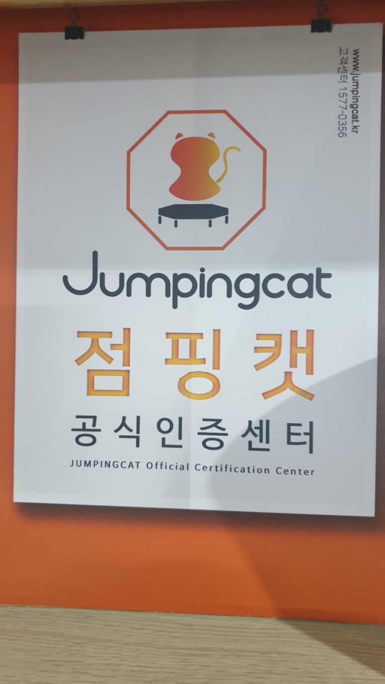 매일점핑 이미지