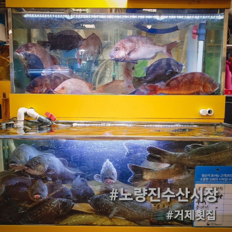 거제수산 이미지