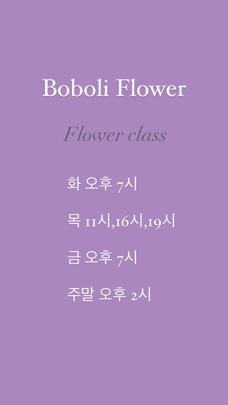 보볼리플라워 이미지
