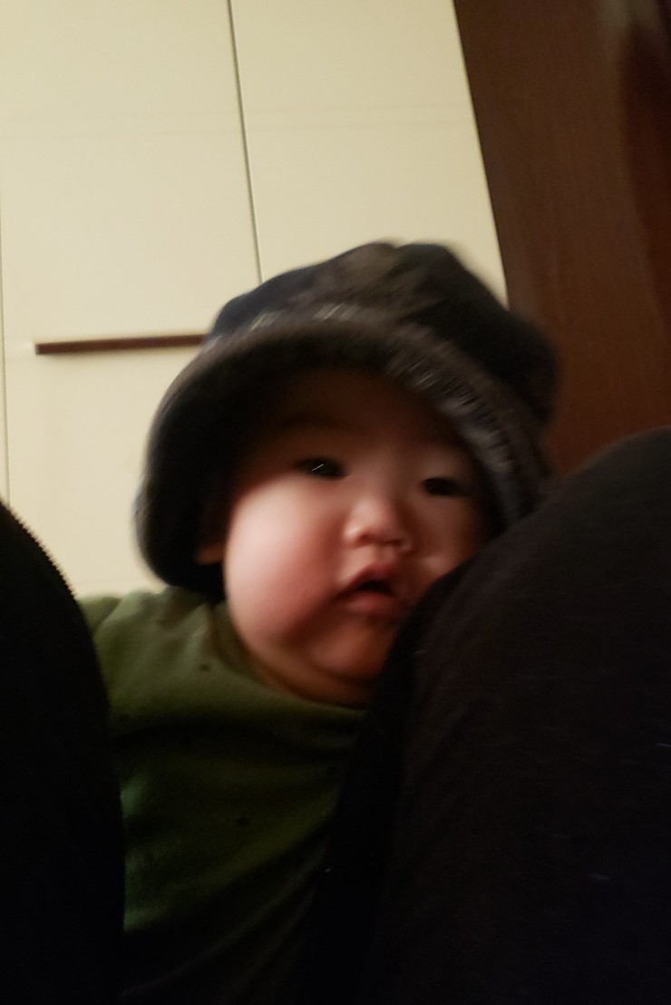 로율 이미지