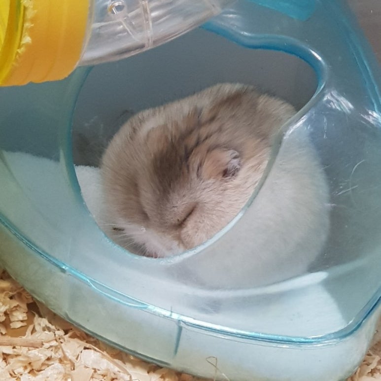 보름 이미지