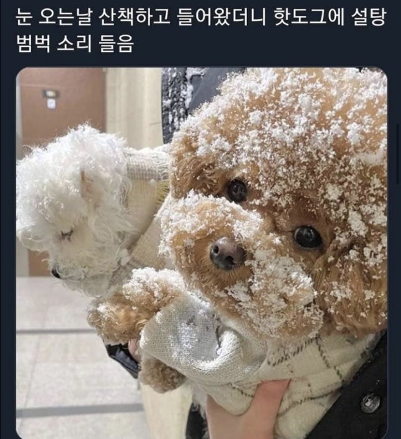 (주)이일 이미지
