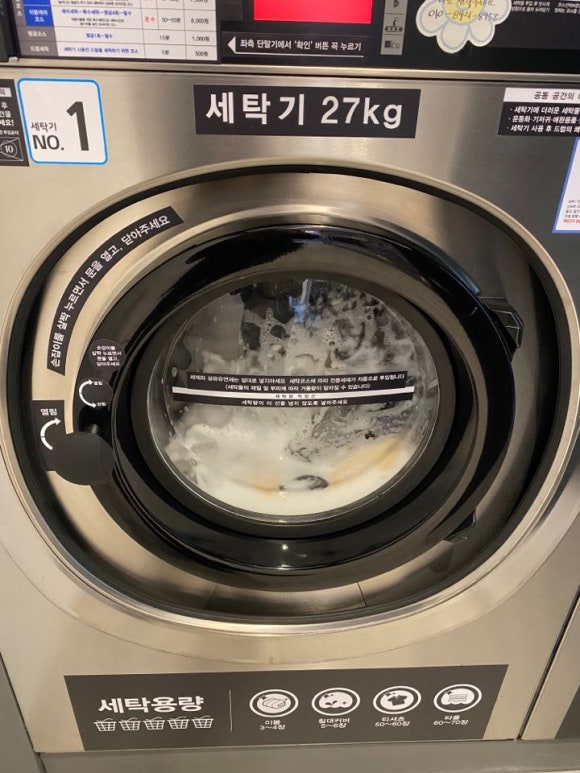 진리세탁 이미지