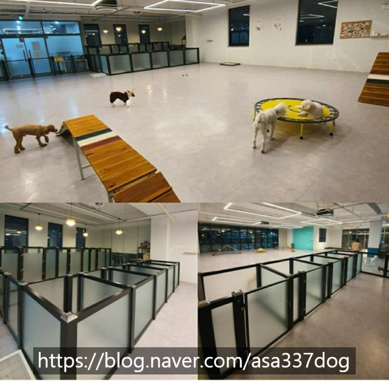 견상낙원 이미지