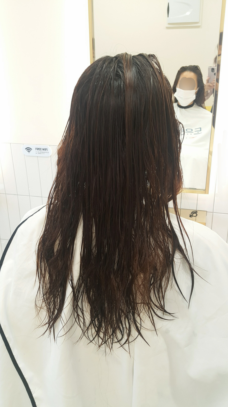 도유보네르 이미지