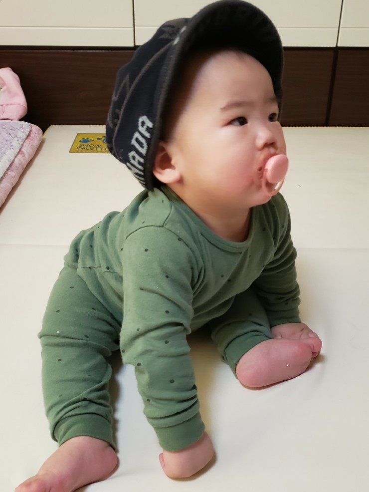 로율 이미지
