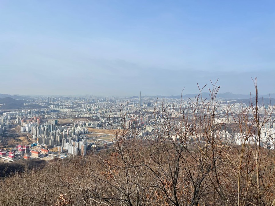 나주개미집 이미지