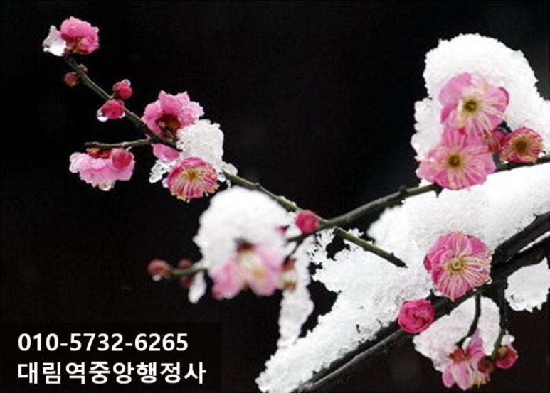세븐직업소개소 이미지