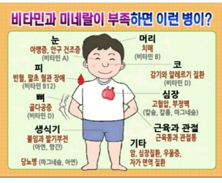 리브퓨어 이미지