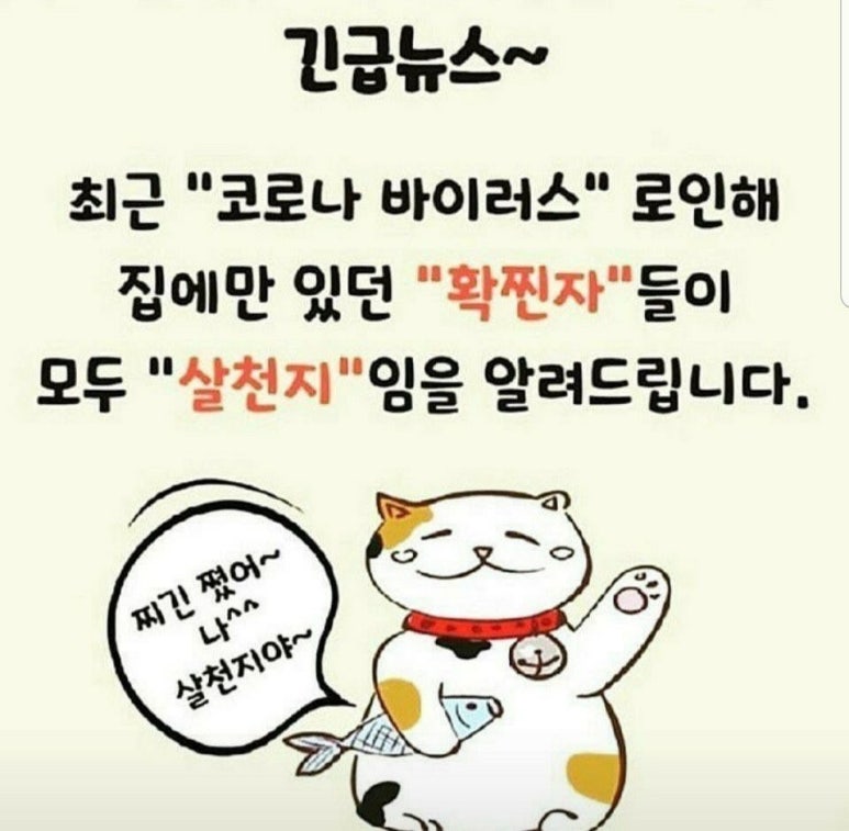 경희대파워점핑줄넘기 이미지