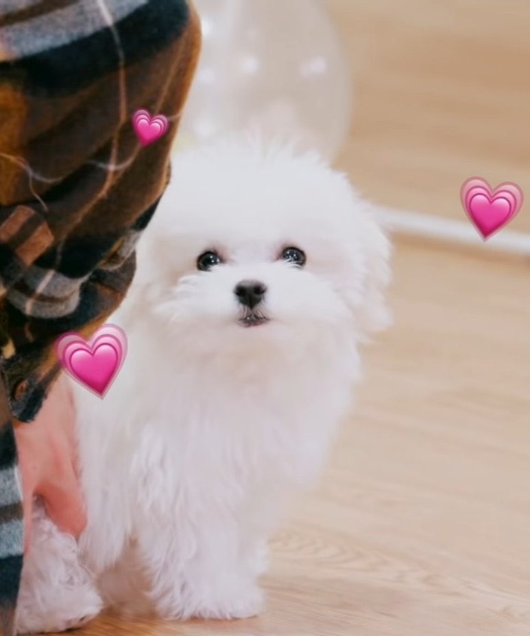설렘 이미지