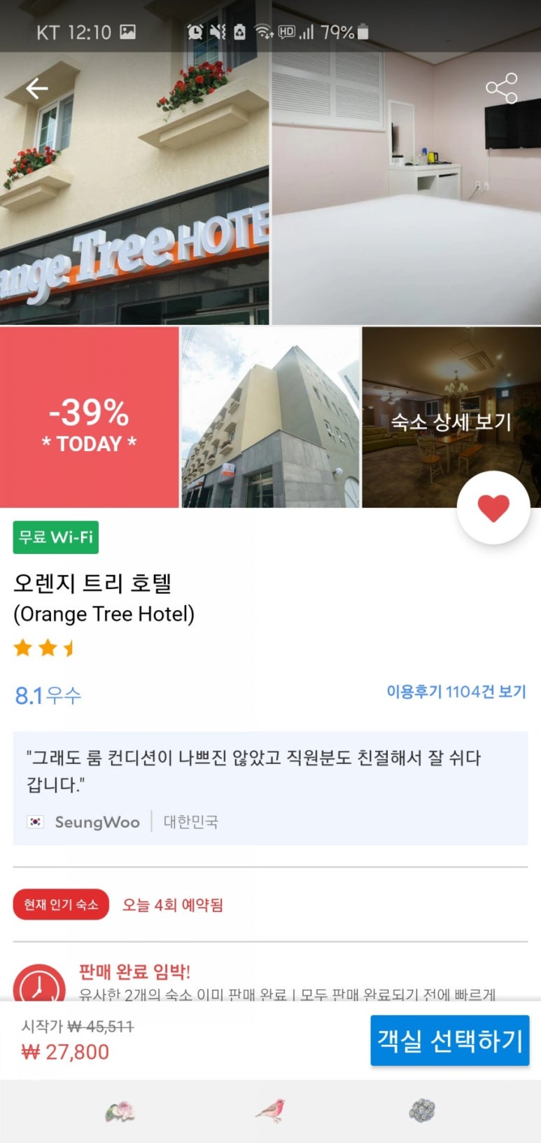 오렌지트리(Orange tree) 이미지
