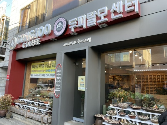 공주다육카페 이미지