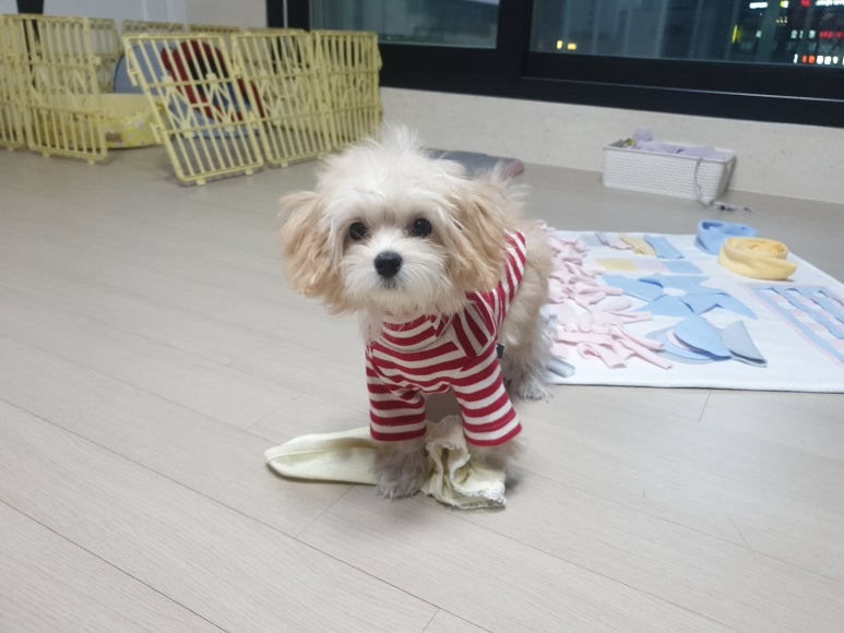 마더앤푸드 이미지
