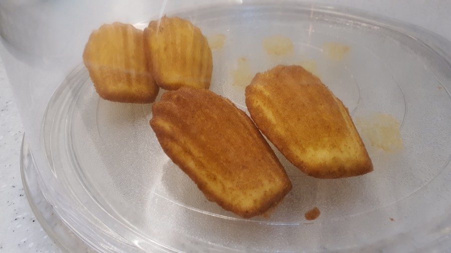 마들렛먼로 이미지