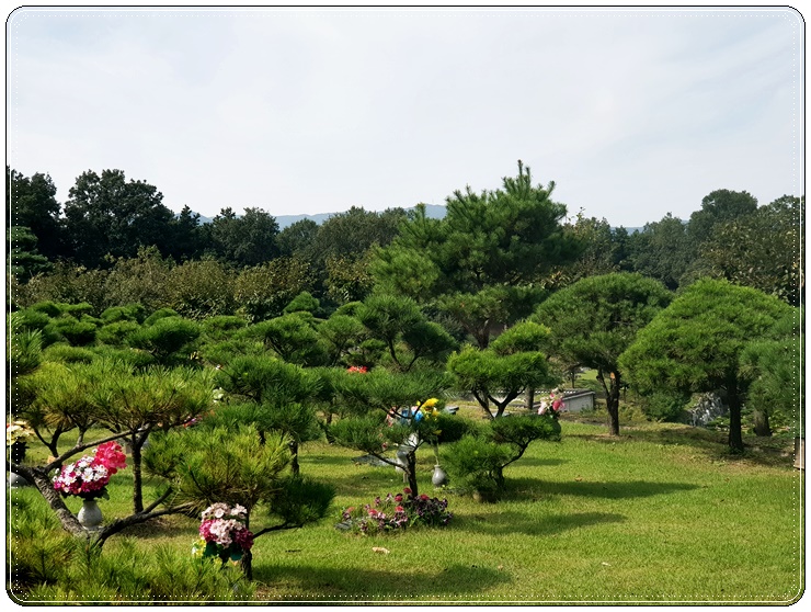 파주수목장 이미지