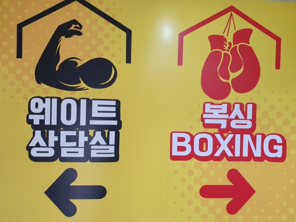 엠스타복싱클럽 이미지