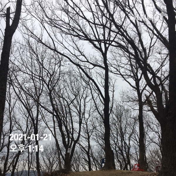 깜봉산 정상 이미지