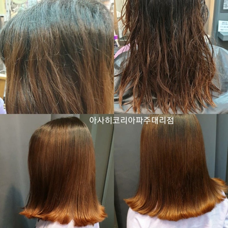 리버스팜 이미지