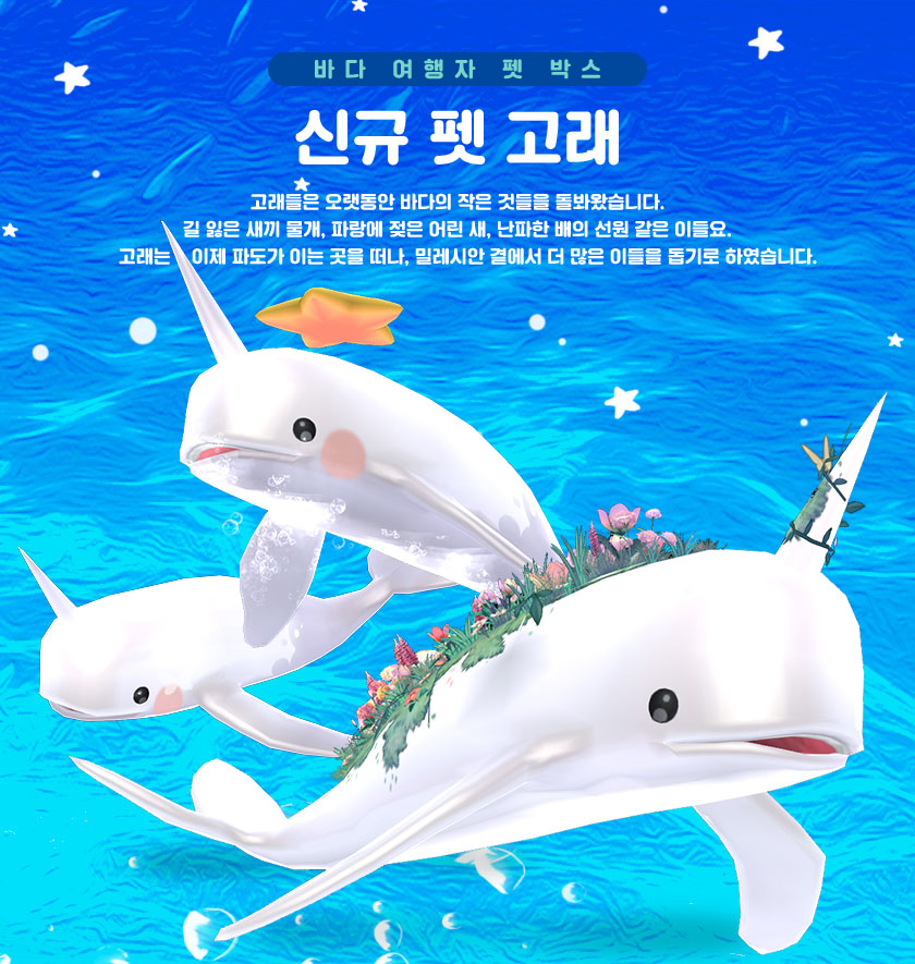금빛고래 이미지