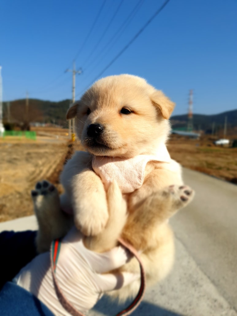 대박토토 이미지