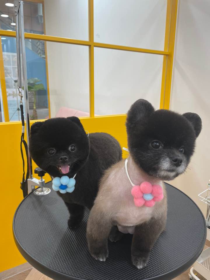 미용타운 이미지
