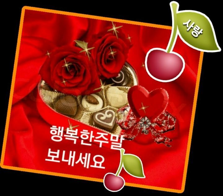 인생은생방송 이미지