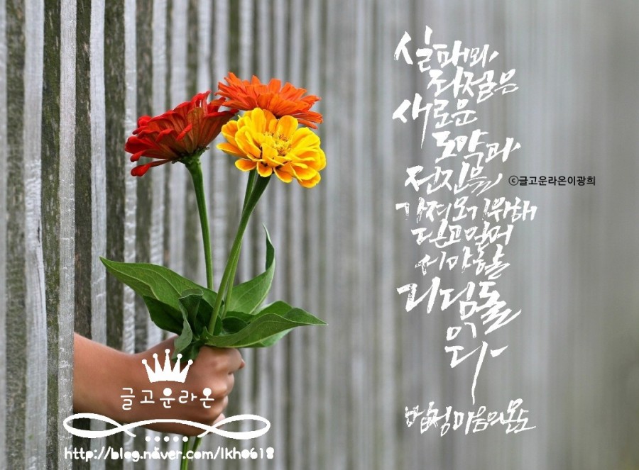 이도캘리그라피 이미지