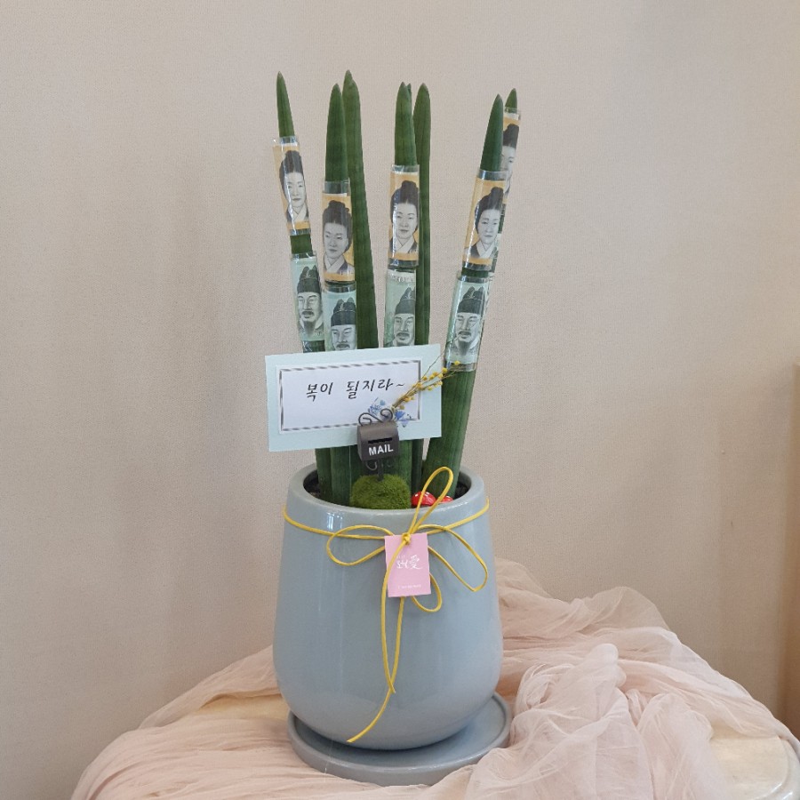 진화꽃집 이미지