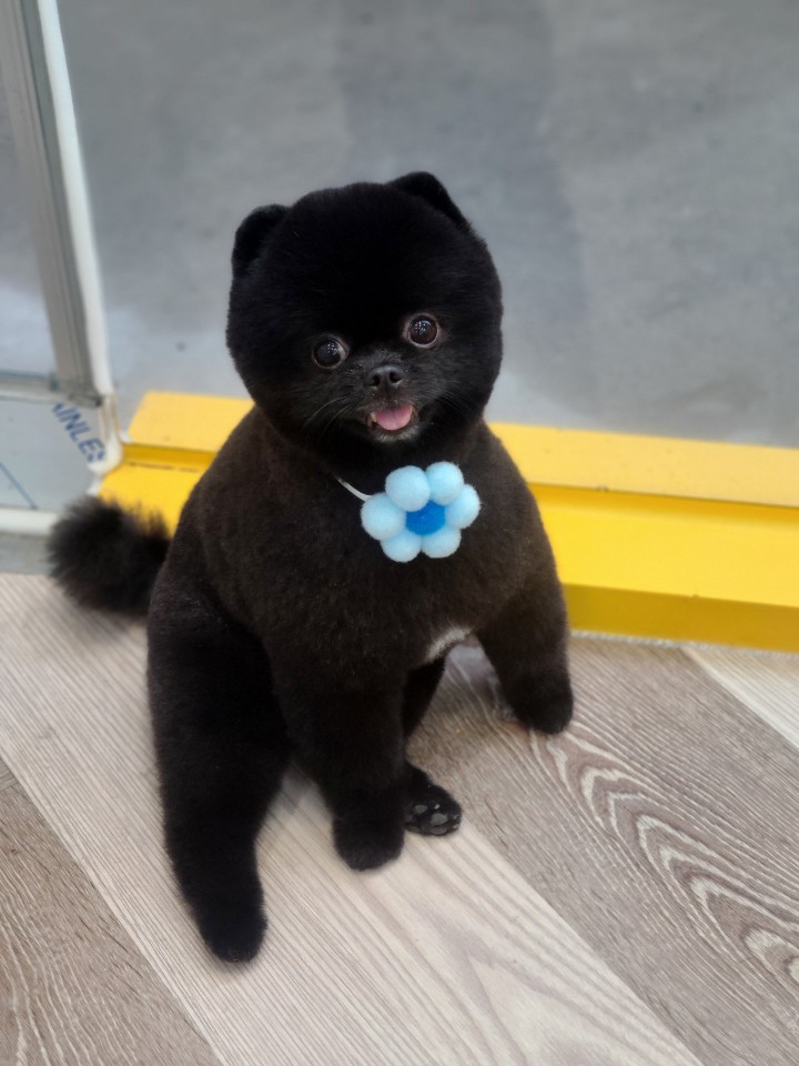 미용타운 이미지