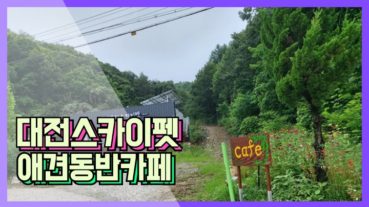 대전스카이펫 이미지