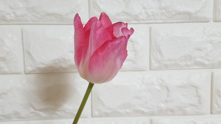 신선축산 이미지