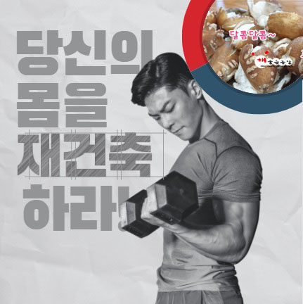 해품 이미지