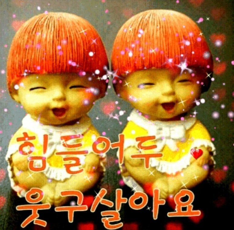 토리목장흑염소 이미지