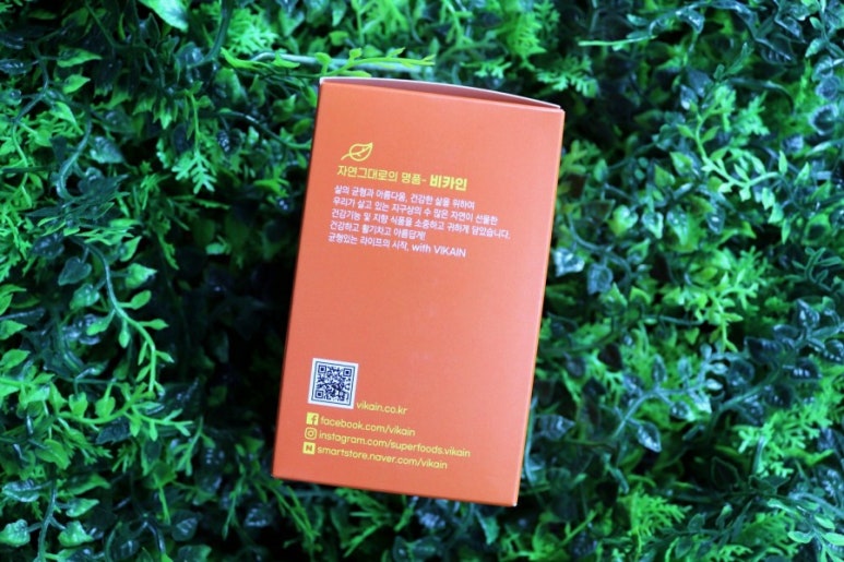 요들네이쳐 이미지