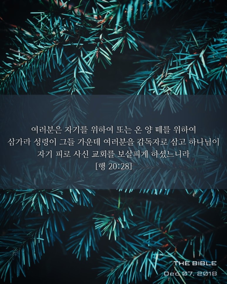 주님의사랑교회 이미지