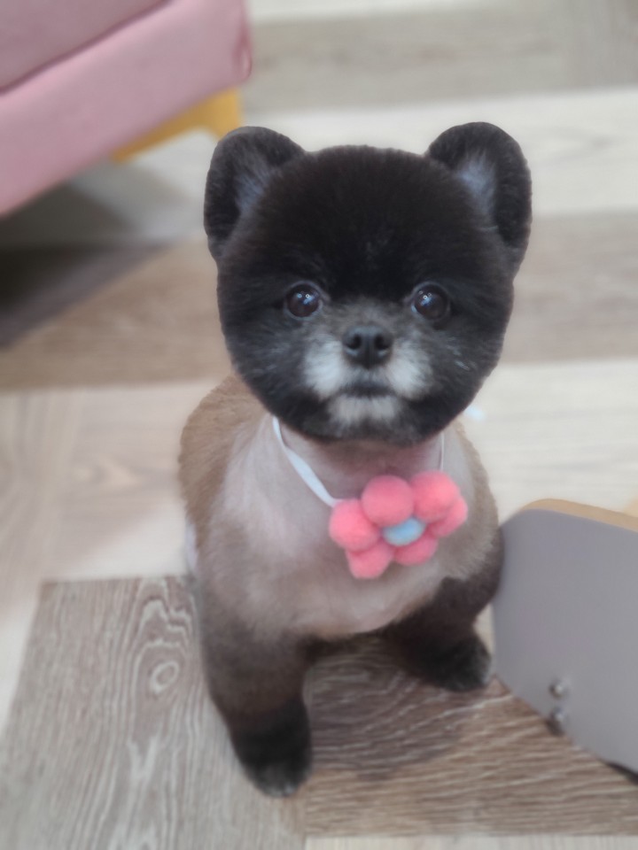 미용타운 이미지