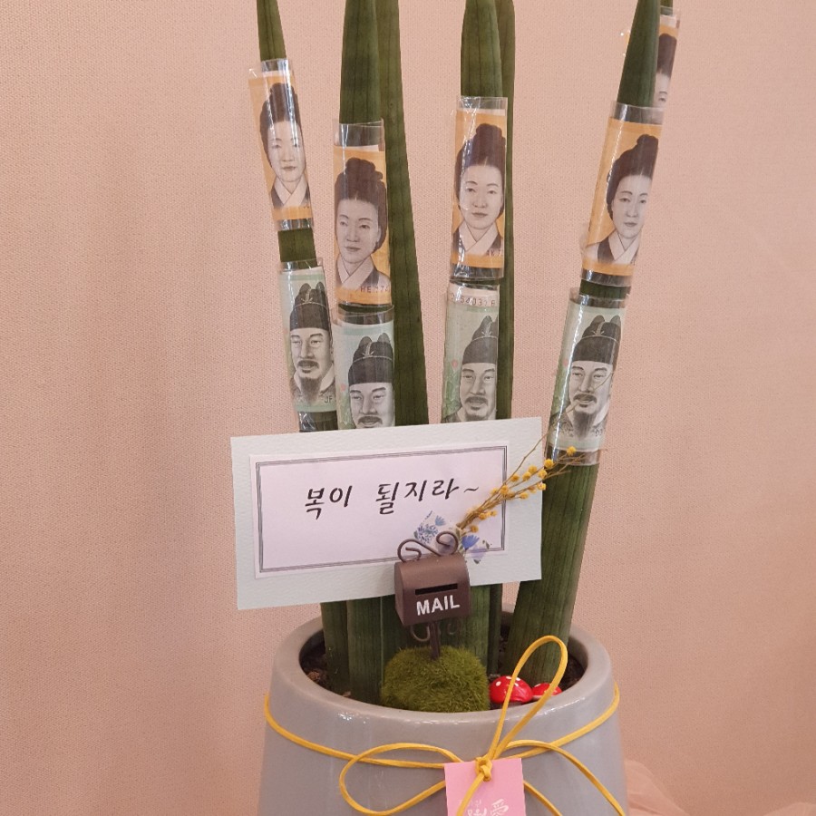 진화꽃집 이미지