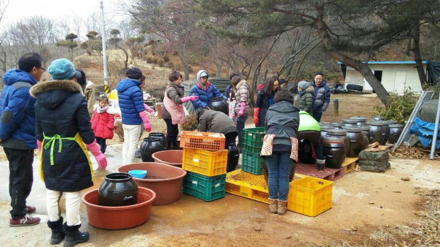 조선된장 이미지