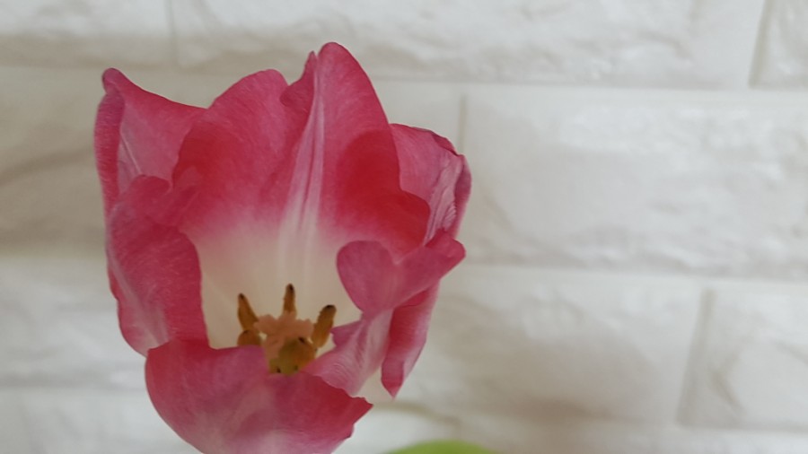 신선축산 이미지
