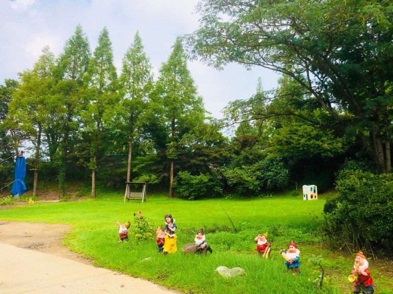 자연과숲 이미지