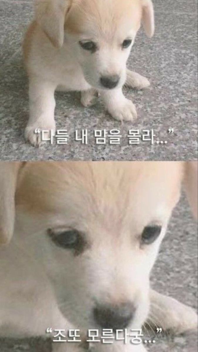 애월연탄집 이미지