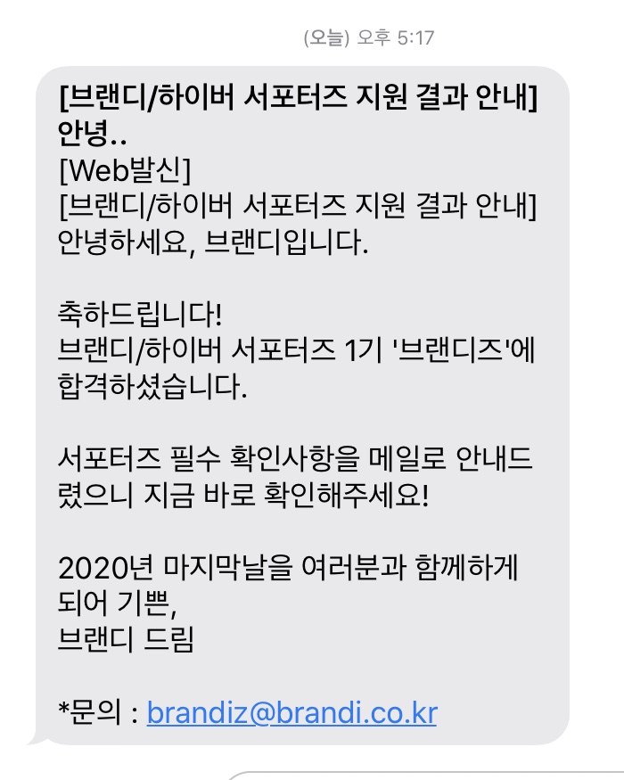 브랜디즈 이미지